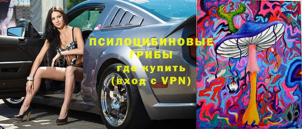 крисы Абаза