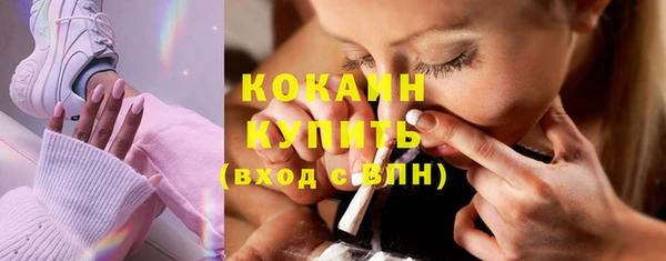 крисы Абаза