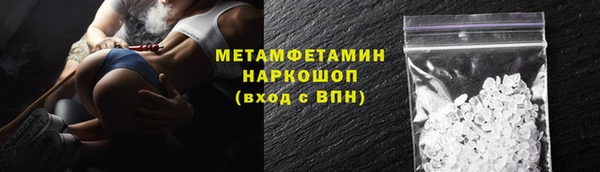 крисы Абаза
