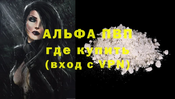 крисы Абаза