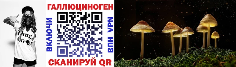 Псилоцибиновые грибы ЛСД Разумное