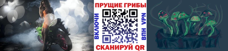 хочу мориарти формула Псилоцибиновые грибы прущие грибы Разумное